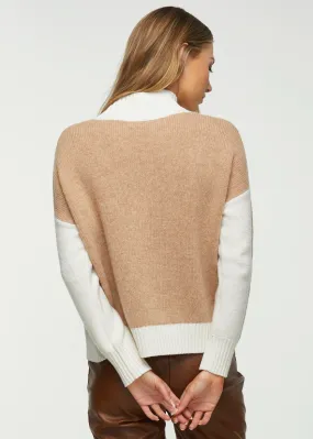 Color Block Turtleneck