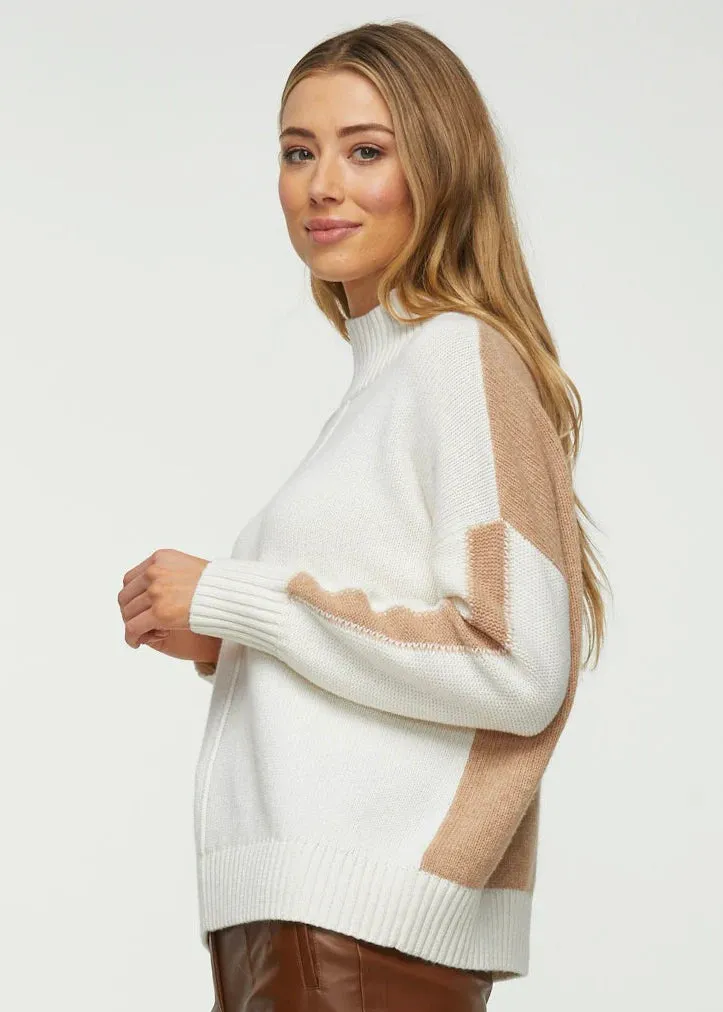 Color Block Turtleneck