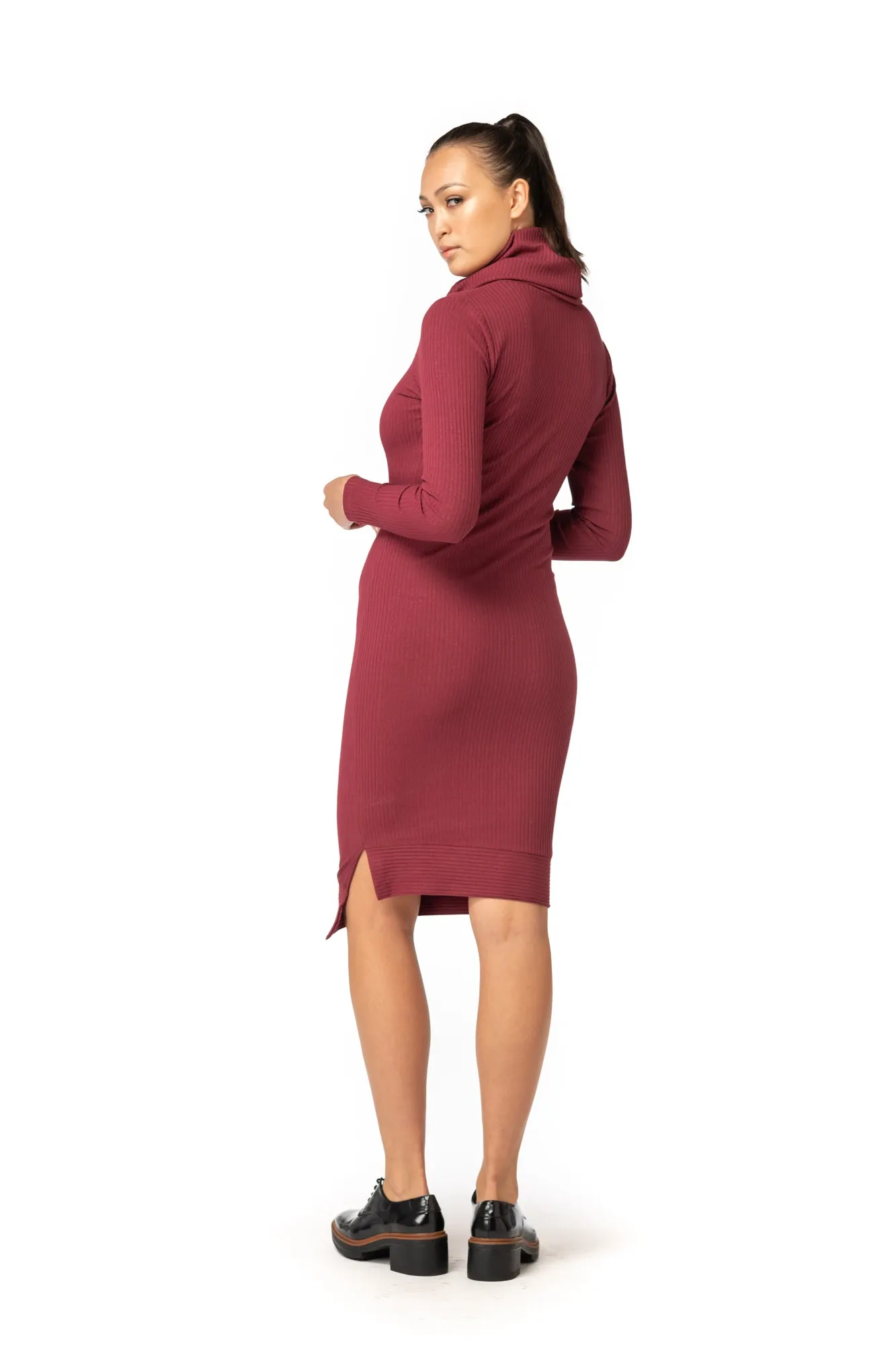 Cowl Turtleneck Dress