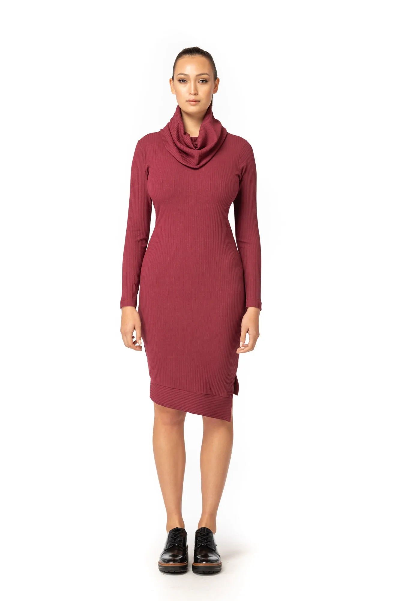 Cowl Turtleneck Dress