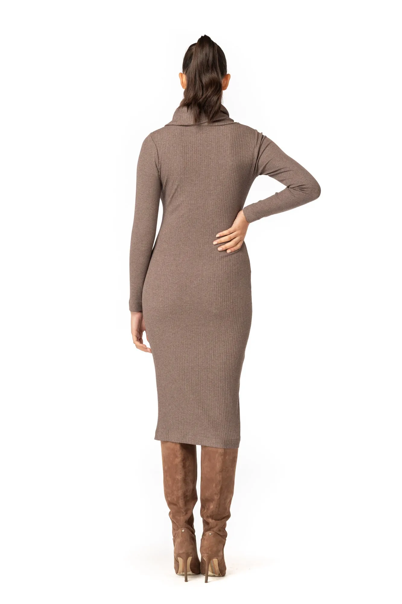 Cowl Turtleneck Dress