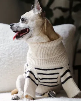 Finley Ivory   Black Striped Dog Sweater