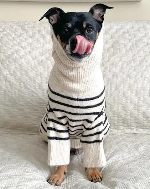 Finley Ivory   Black Striped Dog Sweater