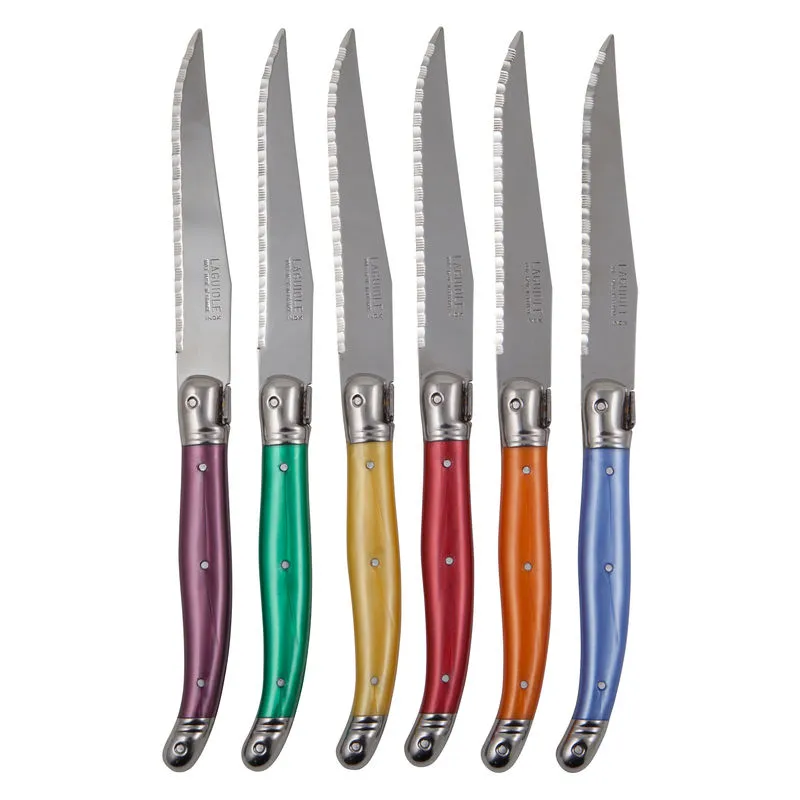 Laguiole André Verdier Debutant Set of 6 Mixed Colour Knife Set