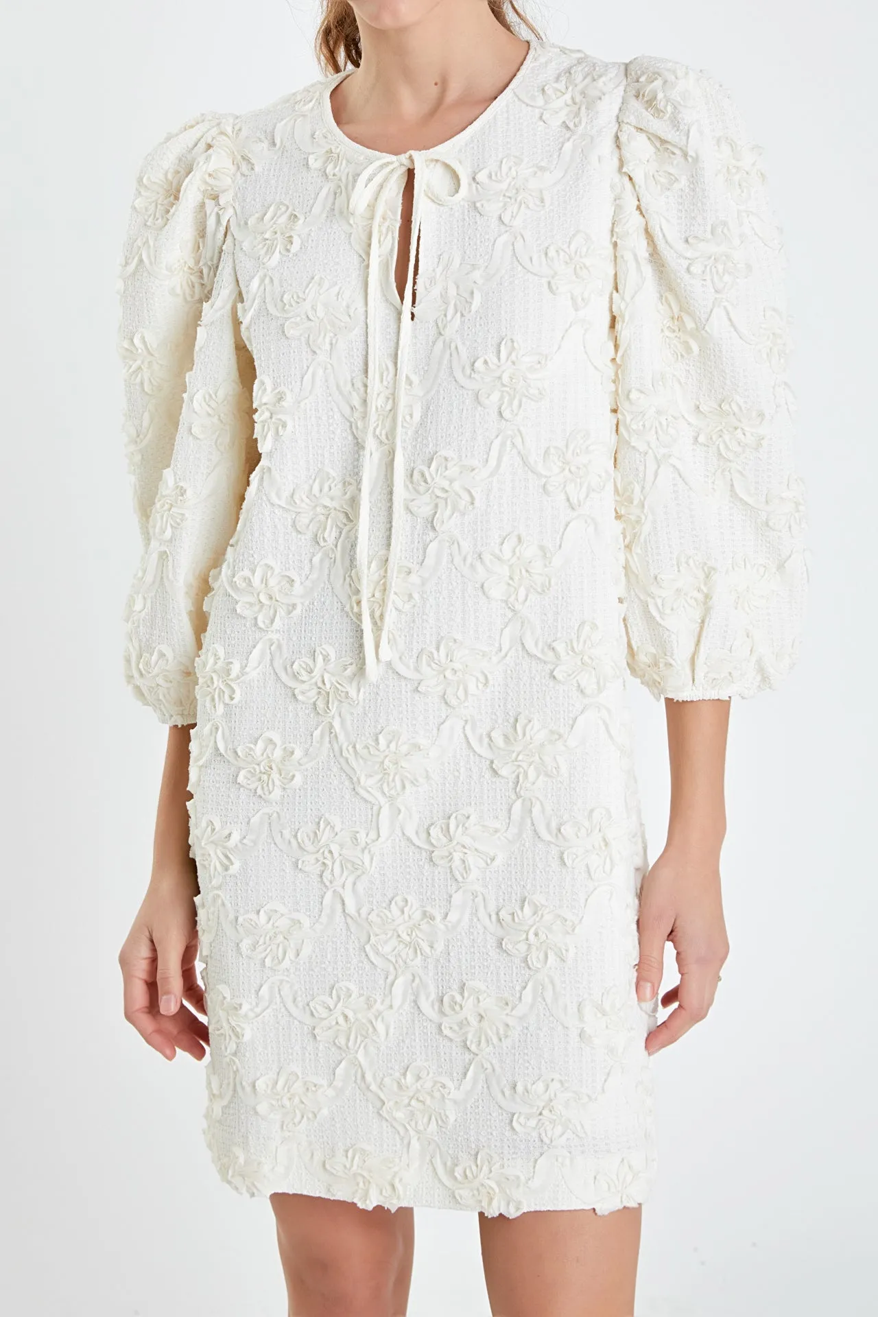 Ribbon Embroidered Shift Mini Dress